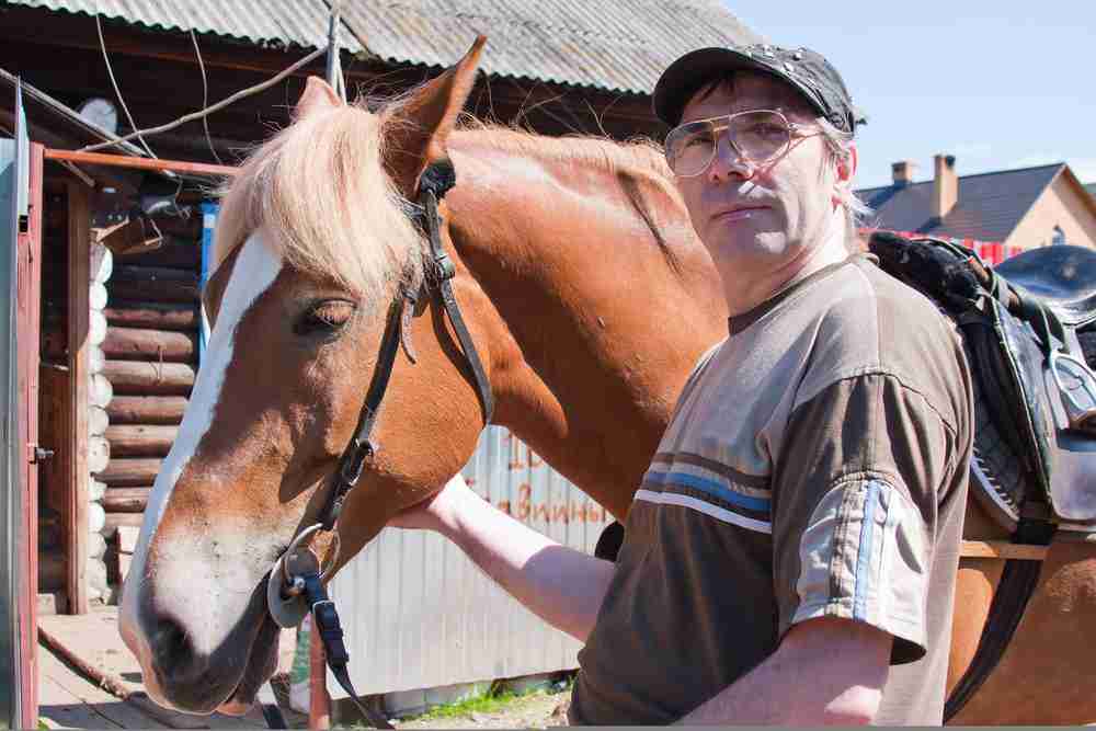 breaking a horse