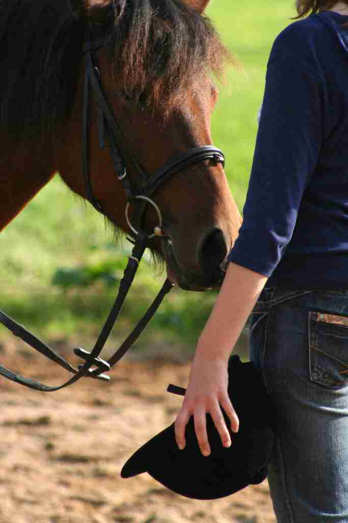 breaking a horse