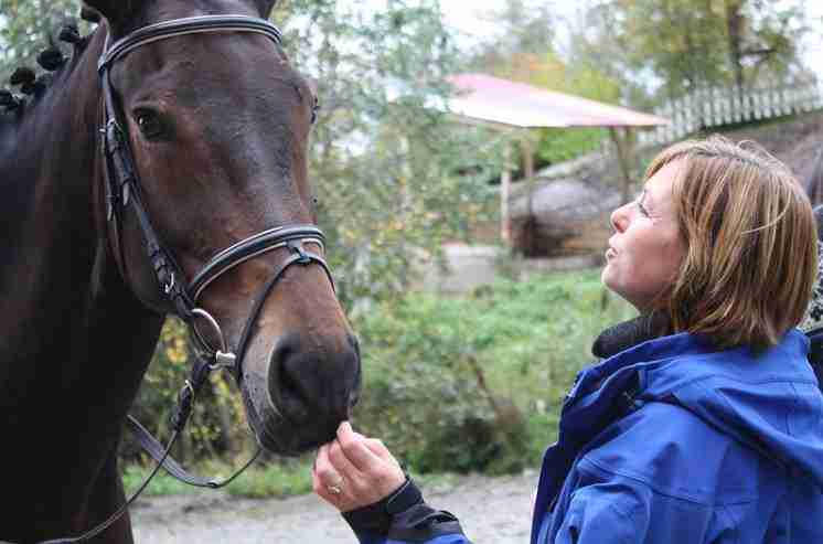 signs that your horse trusts you