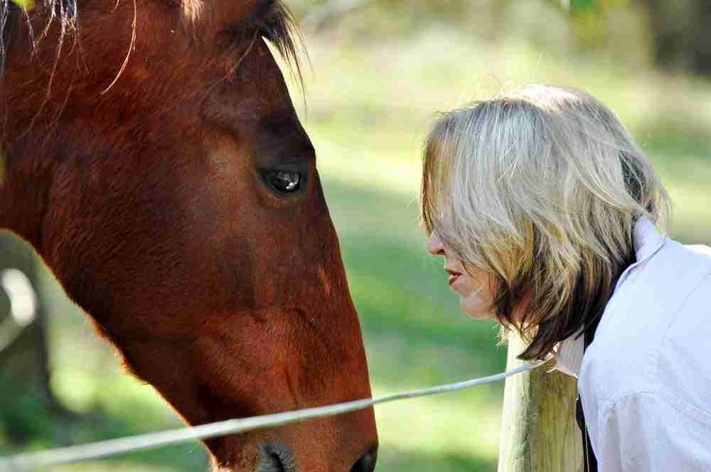 Women looking at horse