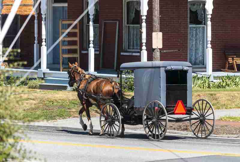 horse pulling