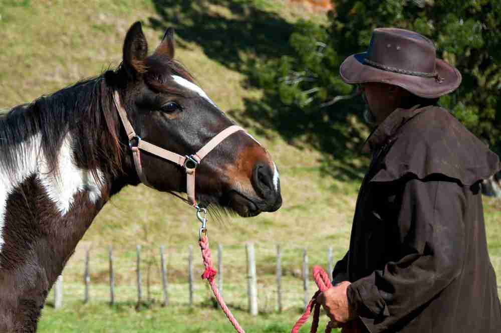 breaking a horse