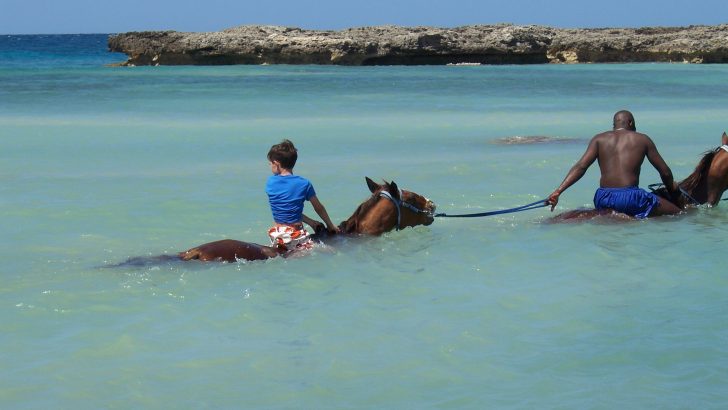 Man on horse leading child on horse in water
