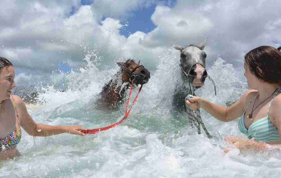 Two women leading horses through waves and surf