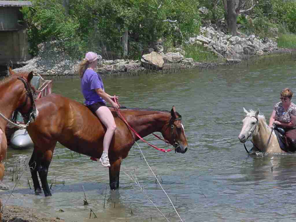 Females riding horses in water
