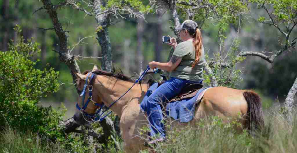 woman riding buckskin horse in the woods