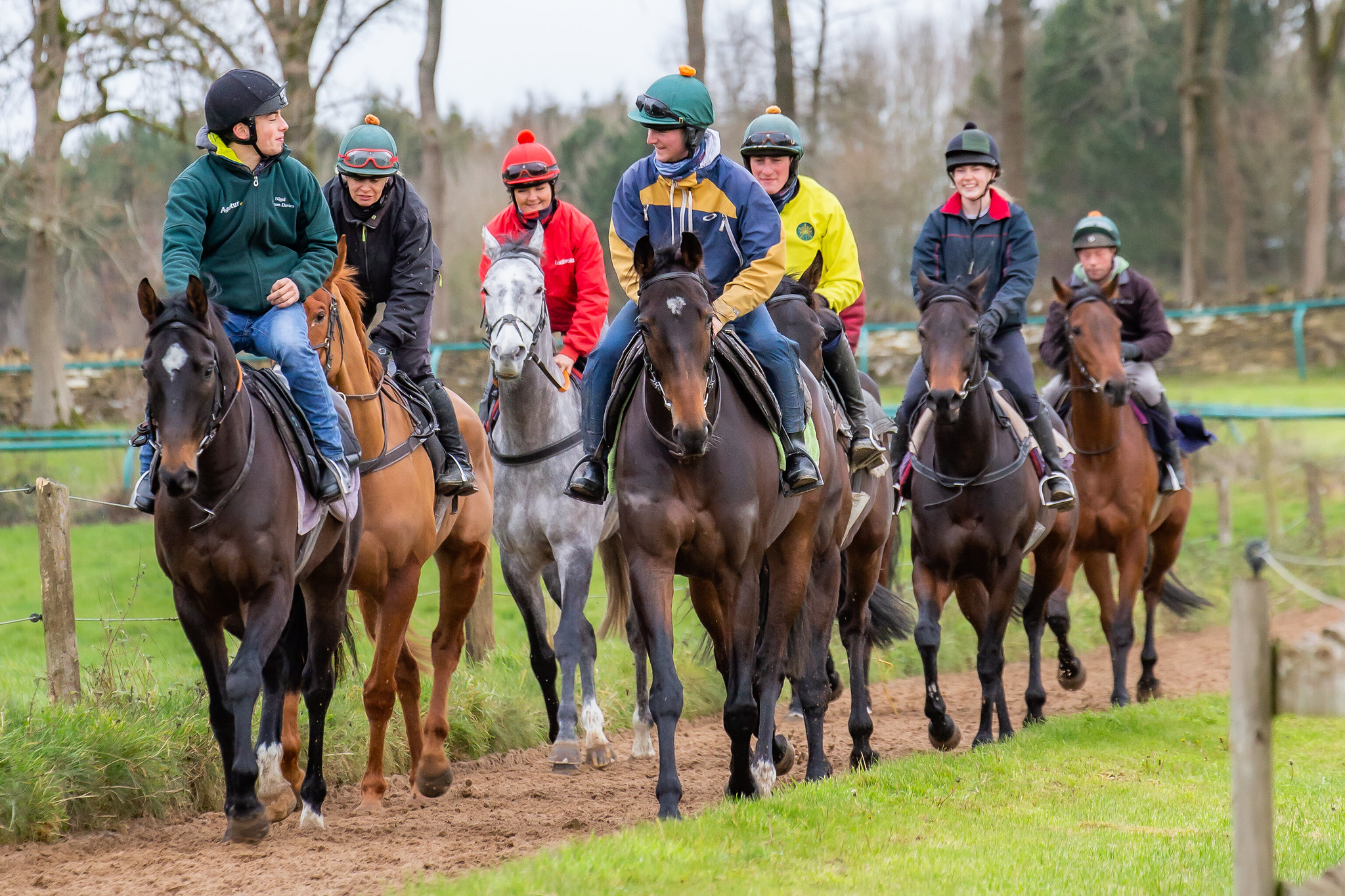Do Horses Even Like Being Ridden? Smarter Horse