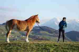 Boy with horse in the mountains