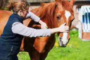 Girl doing Horse Therapy