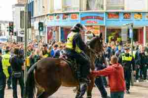 Horses in noise