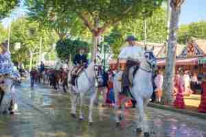 White Horses