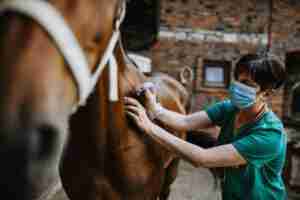boy injecting horse
