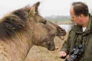 horse biting a man 