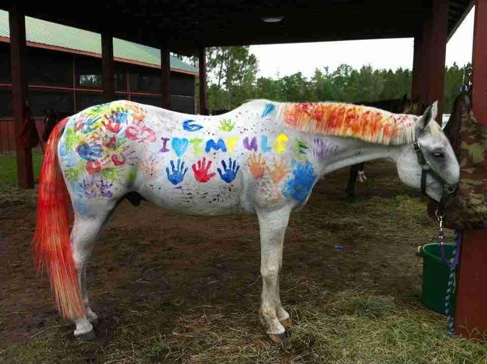 hand painting on white horse